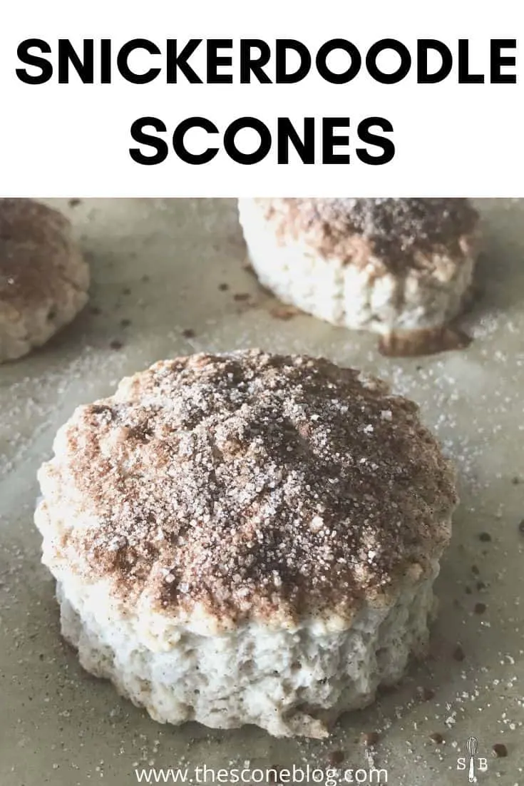snickerdoodle scones
