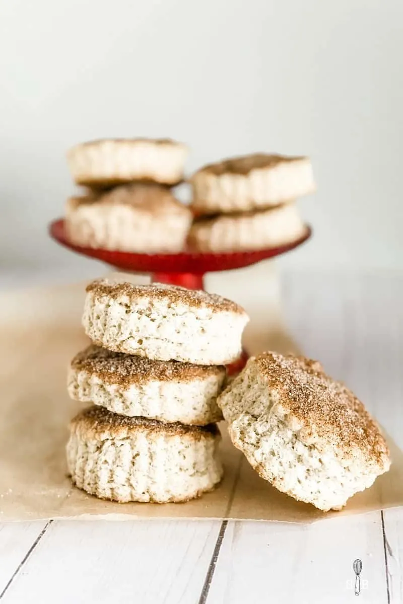 Secrets from the Cookie Princess: Snickerdoodle Mini Scones