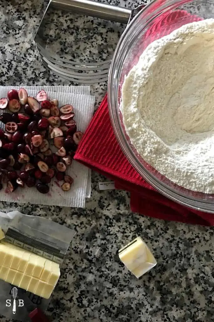 cranberry scones recipes