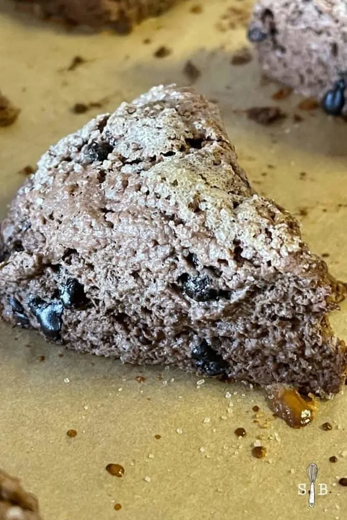 Chocolate scone wedge baked 