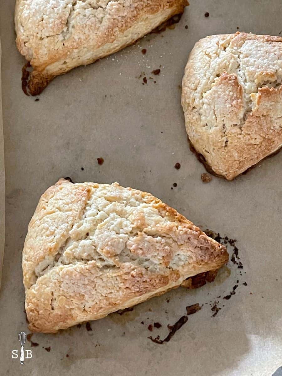 Bisquick Scones Recipe {Super Easy!} - The Scone Blog