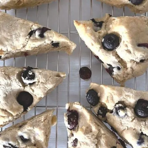 Gluten Free Blueberry Scones Recipe