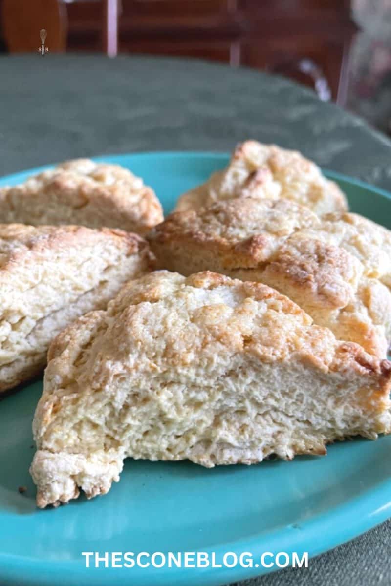 How to Make Eggnog Scones {Simple Recipe!} the scone blog