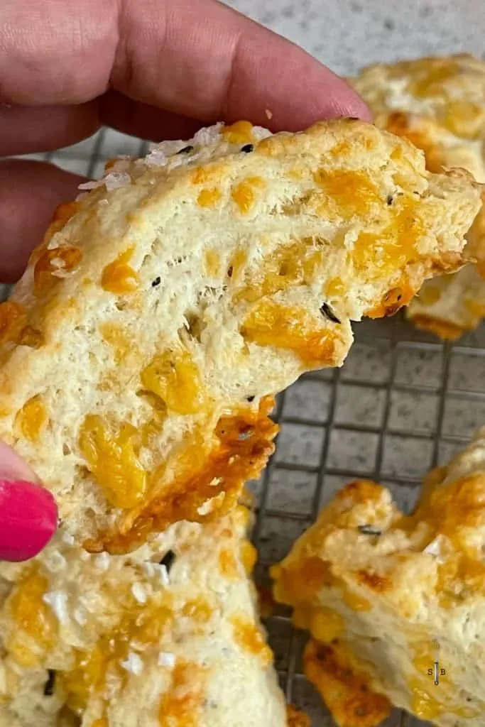 Cheddar cheese scones with rosemary