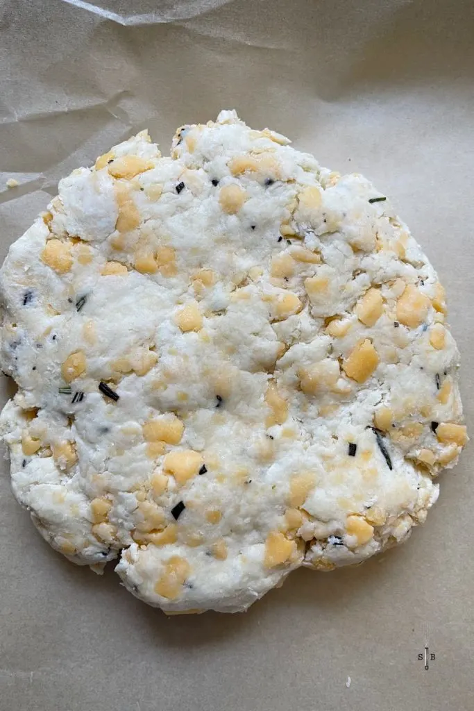 cheddar cheese scone