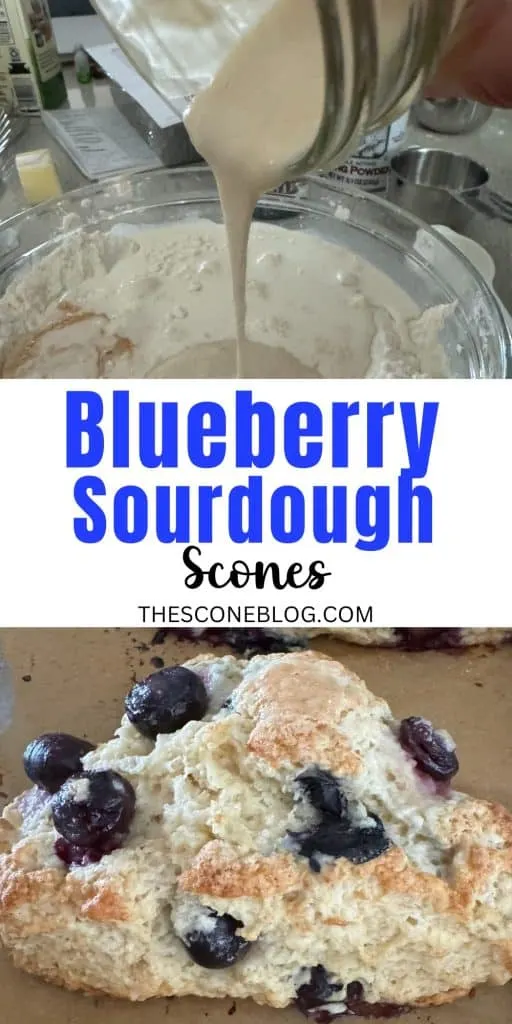 blueberry sourdough scones