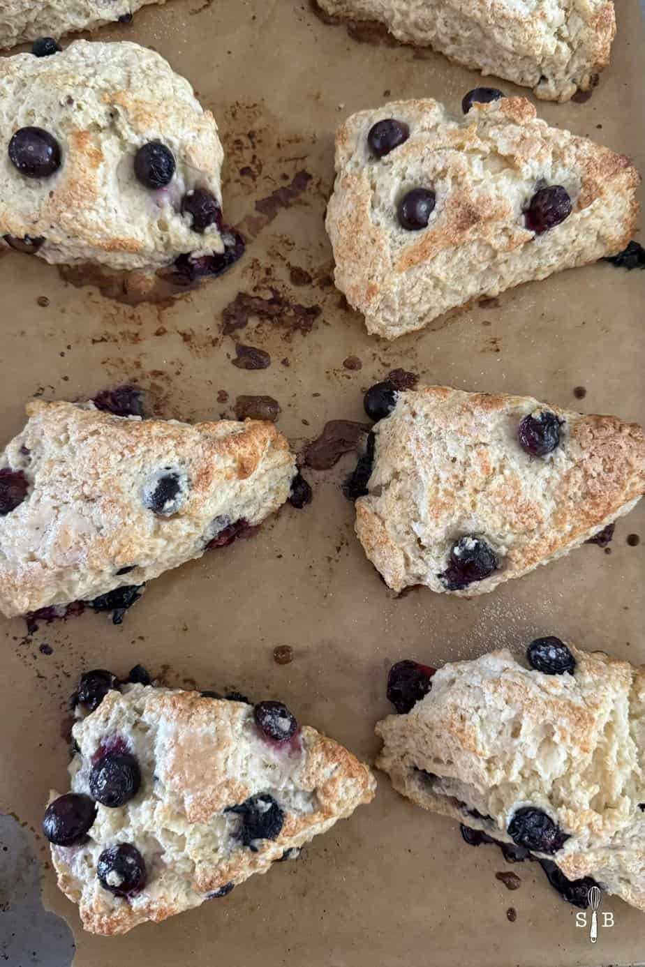 Sourdough Scones REcipe