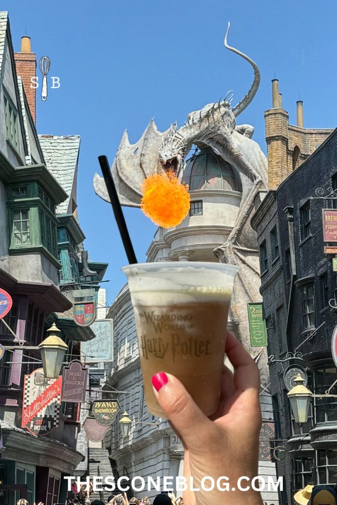 Wizarding World of Harry Potter Universal