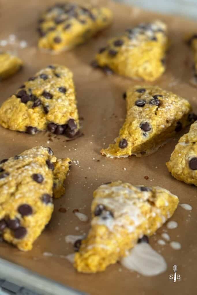 Baked Pumpkin and chocolate scones

