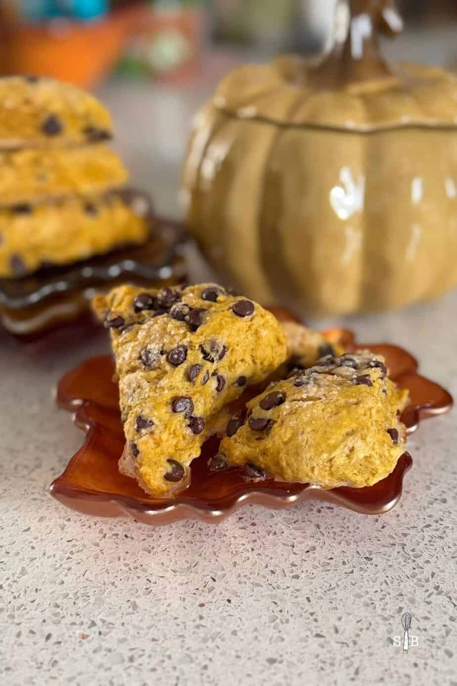 Pumpkin Chocolate Chip Scones