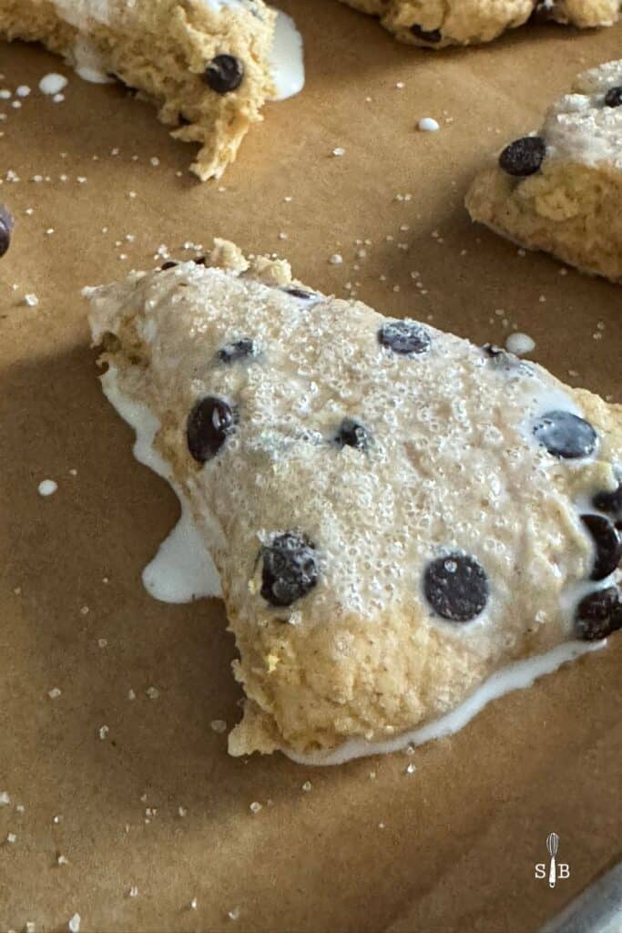 Pumpkin scones with cream and sugar topping