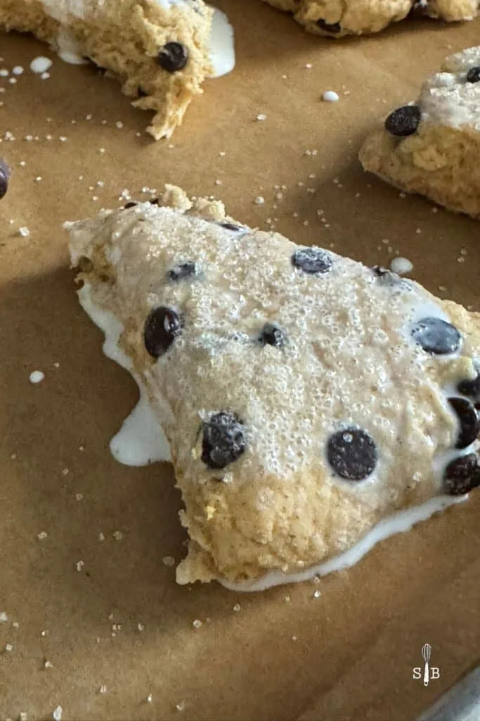 Pumpkin scones with cream and sugar topping